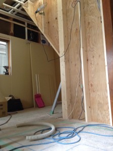 Seed Training,シードトレーニング,ベジタリアン,ヴィーガン,マインドフルネス,ヨガ,ピラティス,タイ古式マッサージ,禅,尼崎,スタジオ