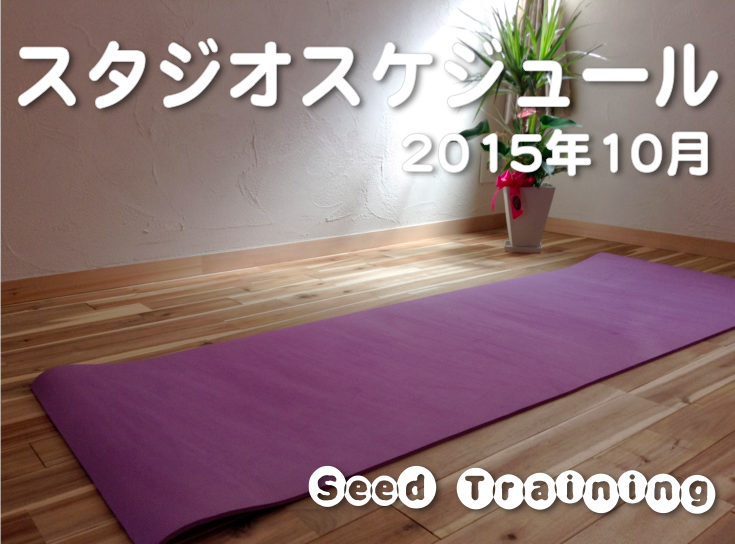 Seed Training シードトレーニング ヨガ 陰ヨガ ピラティス Yoga Yin Yoga 初心者 イベント 体験 尼崎 兵庫 大阪 西宮 伊丹 宝塚 呼吸法 瞑想 メディテーション マインドフルネス