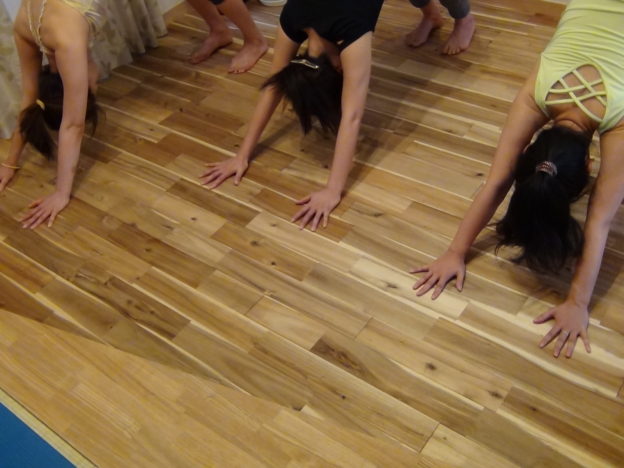 Seed Training シードトレーニング ヨガ 陰ヨガ Yoga Yin Yoga 初心者 イベント 体験 尼崎 兵庫 大阪 西宮 伊丹 宝塚 呼吸法 瞑想 メディテーション マインドフルネス アーシング