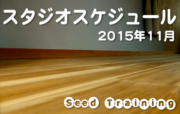 Seed Training シードトレーニング ヨガ 陰ヨガ ピラティス Yoga Yin Yoga 初心者 イベント 体験 尼崎 兵庫 大阪 西宮 伊丹 宝塚 呼吸法 瞑想 メディテーション マインドフルネス