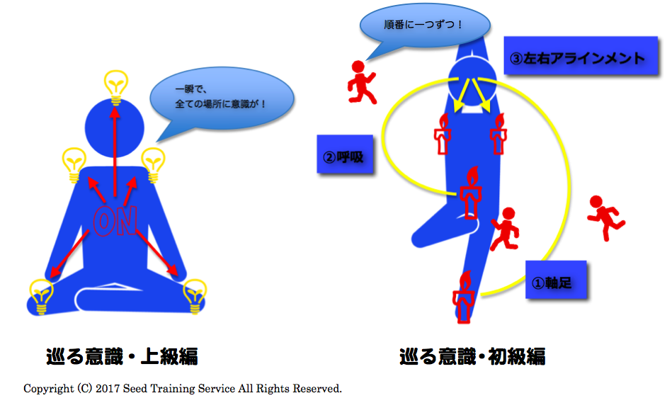 Seed Training,ヨガ,陰ヨガ,ピラティス,インナーマッスル,体幹,骨盤,姿勢,意識,メディテーション,瞑想,マインドフルネス