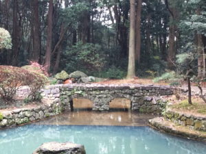 Seed Training,ヨガ,陰ヨガ,バガヴァッド・ギーター,メディテーション,瞑想,マインドフルネス,ヨガ哲学,ベートーベン,第九,会津武士道,